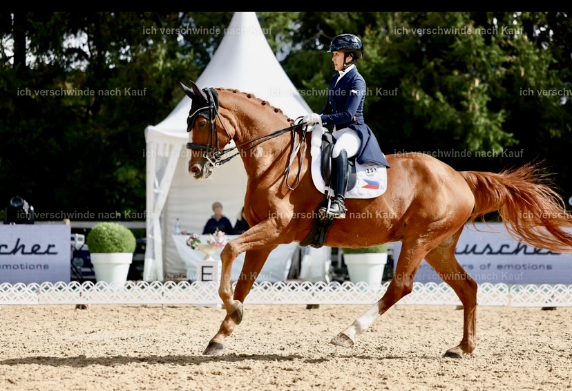 Leviste tops European dressage competition