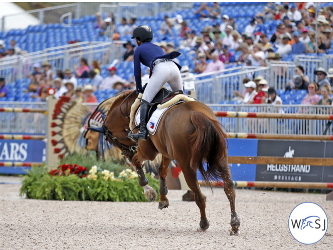 2018 World Equestrian Games Tryon, North Carolina